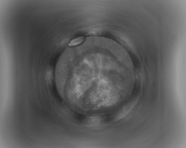 X0000111530127200907211252