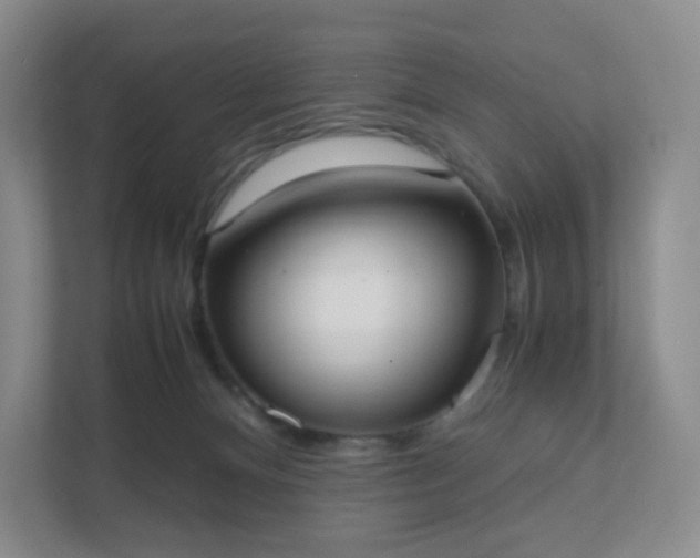 X0000111530128200907211252