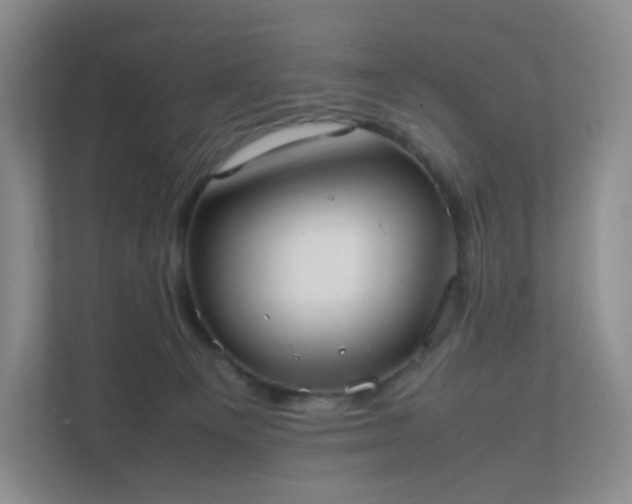 X0000111530129200907211252