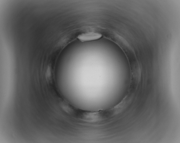 X0000111530132200907211252