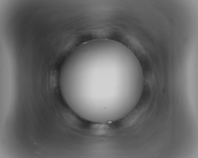 X0000111530133200907211252