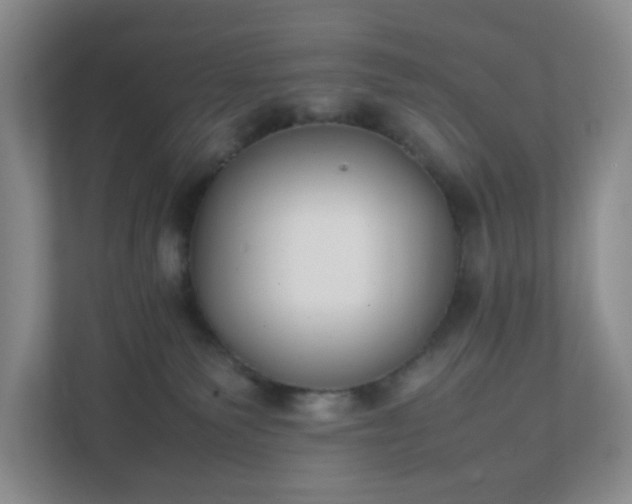 X0000111530135200907211252