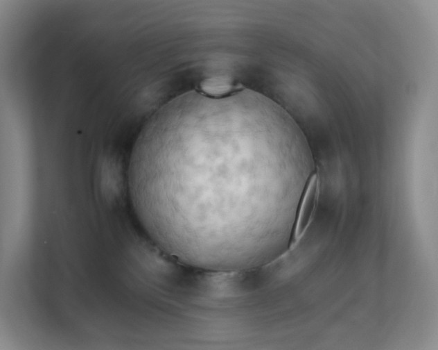 X0000111530136200907211252