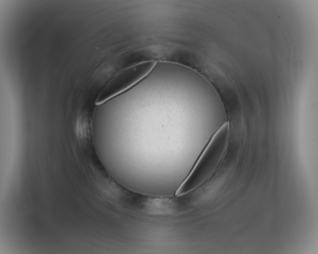 X0000111530137200907211252