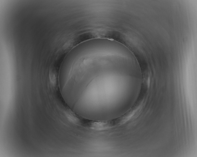 X0000111530139200907211252