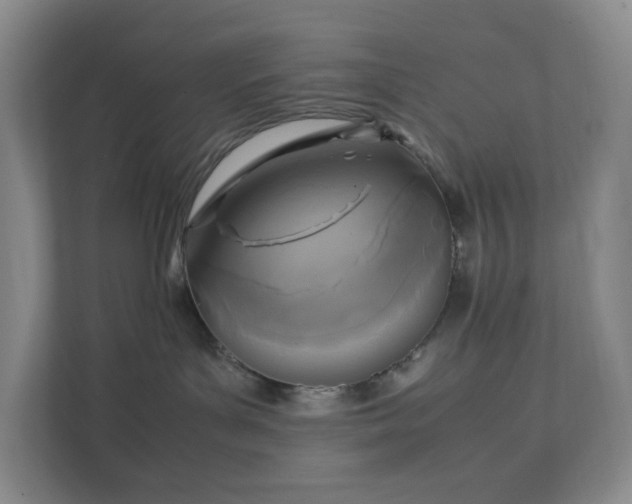 X0000111530143200907211252