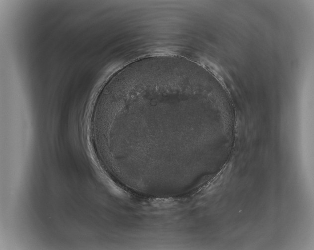 X0000111530145200907211251