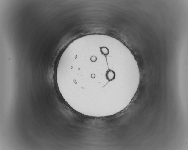 X0000111530146200907211251