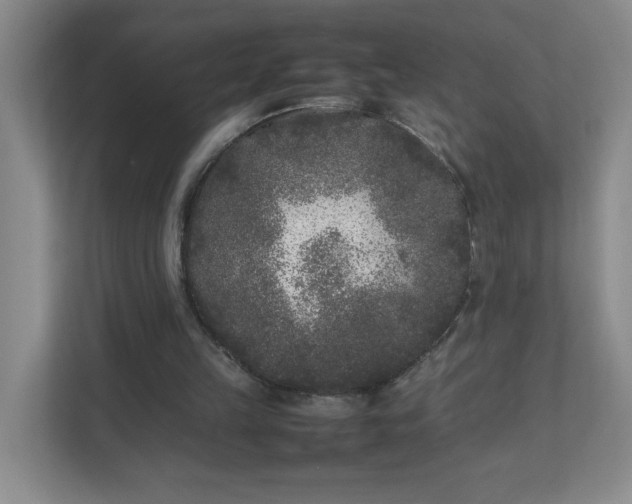 X0000111530149200907211251