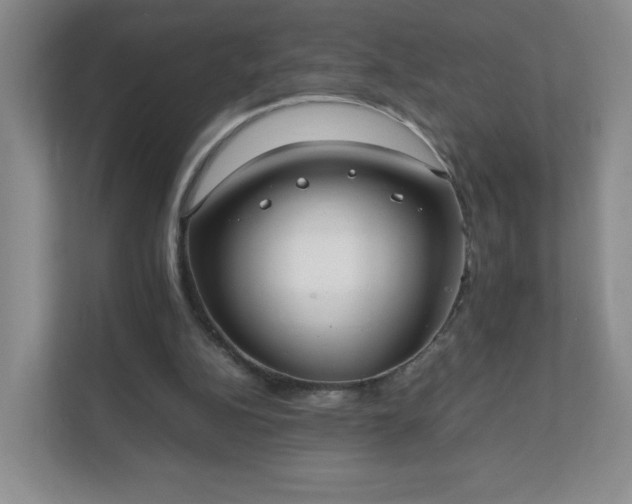 X0000111530152200907211251