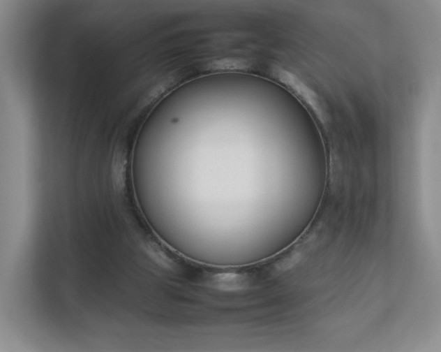 X0000111530153200907211251