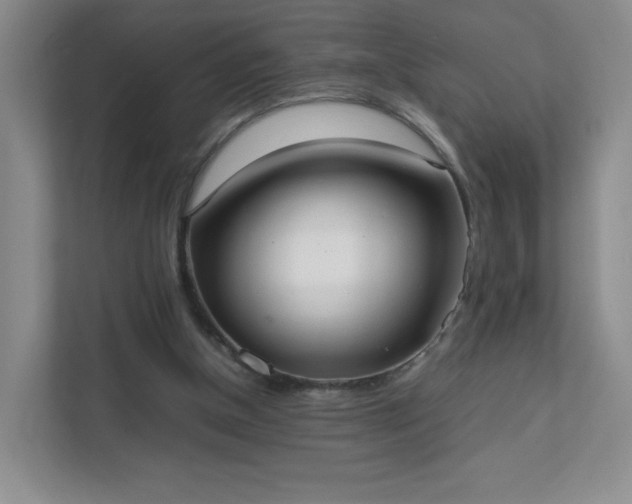 X0000111530154200907211251