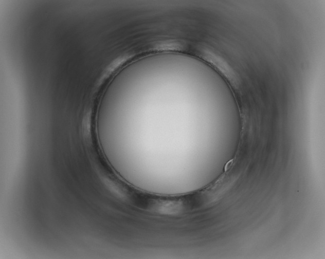 X0000111530155200907211251