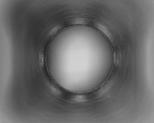 X0000111530157200907211251