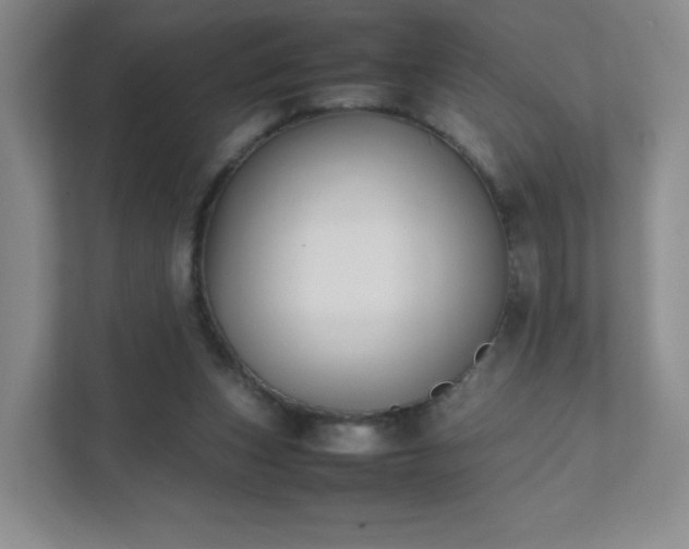 X0000111530159200907211251