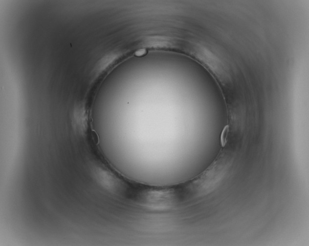 X0000111530160200907211251