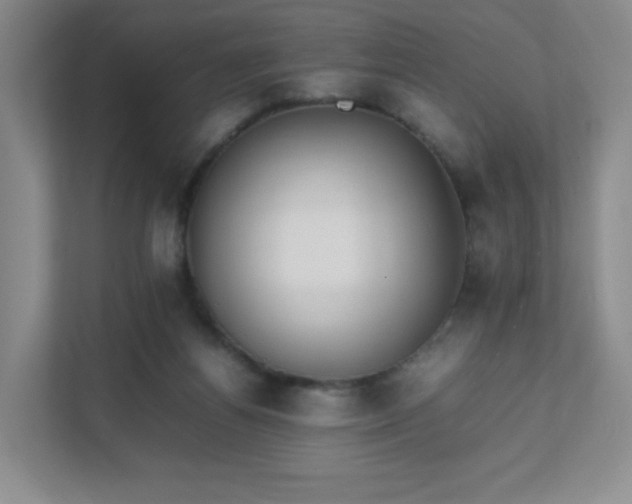 X0000111530164200907211251