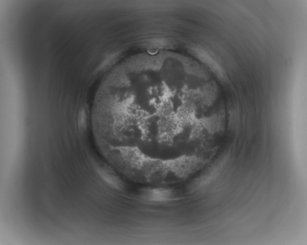 X0000111530165200907211251