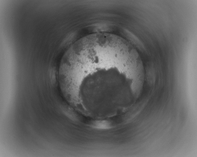 X0000111530169200907211252