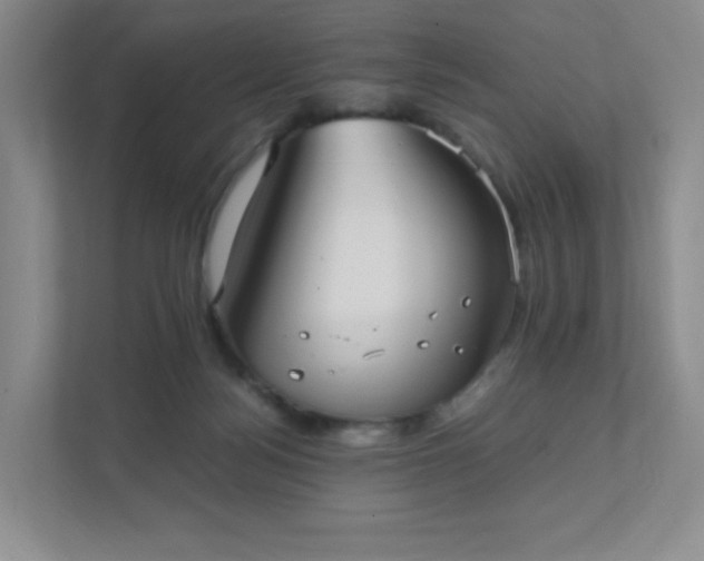 X0000111530172200907211252