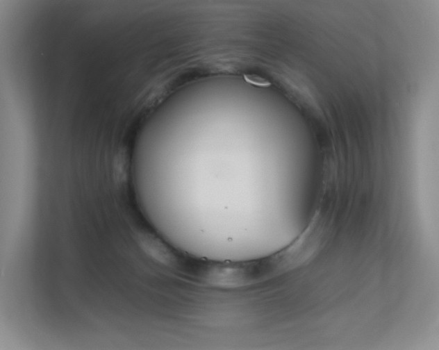 X0000111530174200907211252