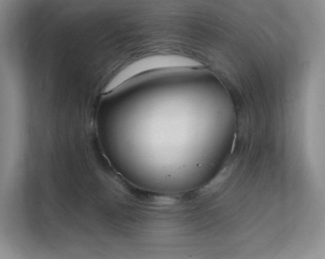 X0000111530176200907211252