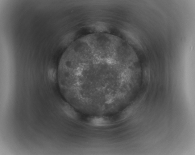 X0000111530177200907211252