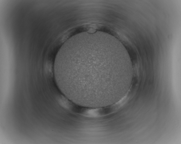 X0000111530178200907211252