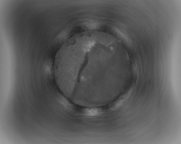 X0000111530181200907211252