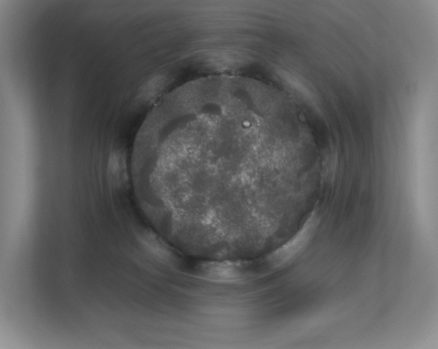 X0000111530182200907211252