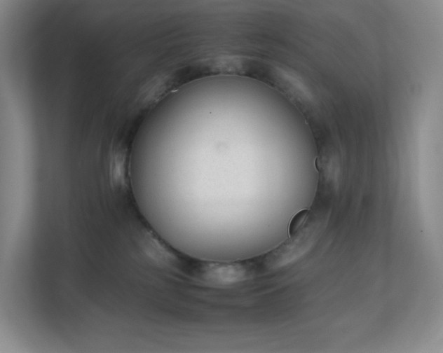 X0000111530185200907211252