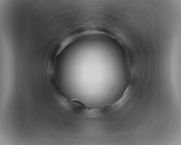 X0000111530186200907211252