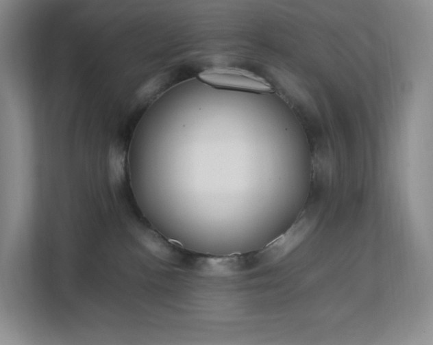 X0000111530188200907211252