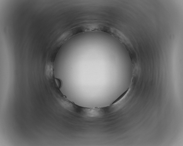 X0000111530191200907211252