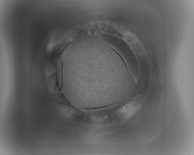 X0000111530192200907211252