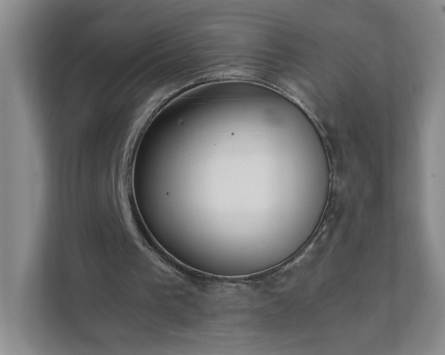 X0000111530193200907211251