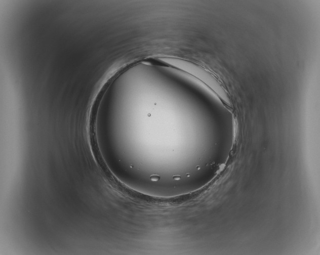 X0000111530195200907211251