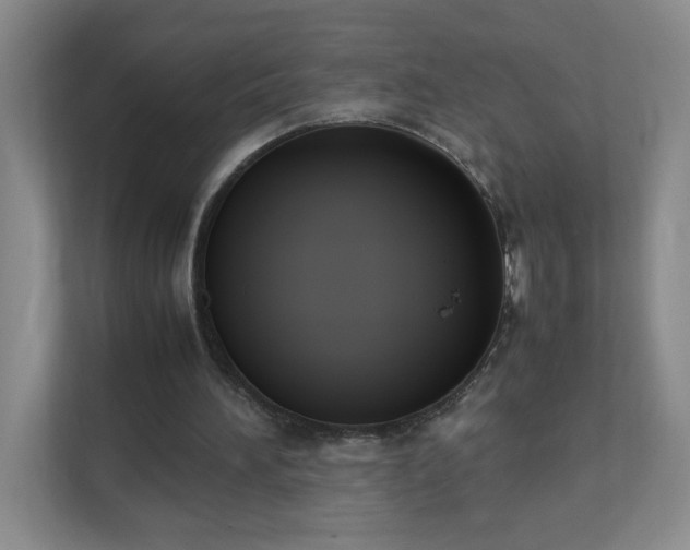 X0000111530196200907211251