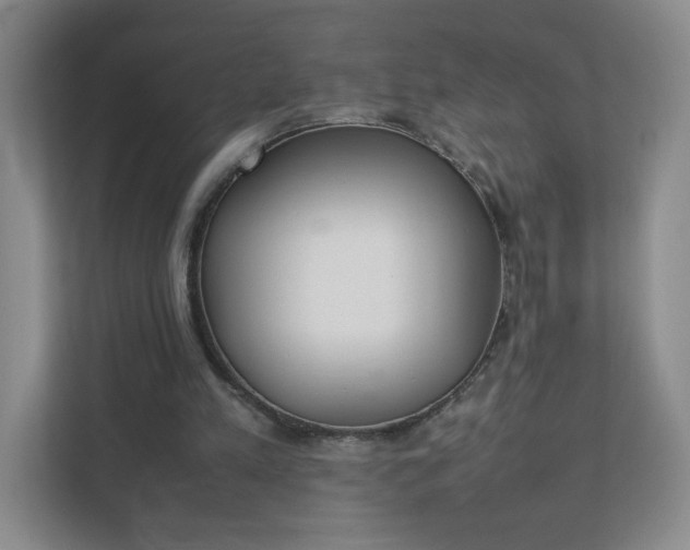 X0000111530197200907211251