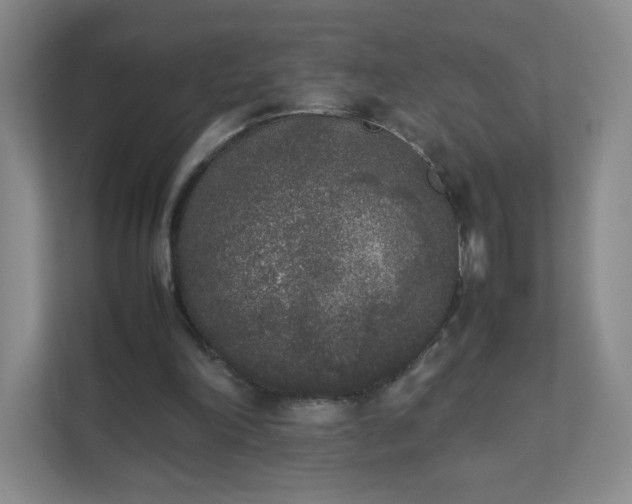 X0000111530198200907211251