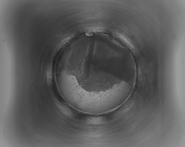 X0000111530202200907211251