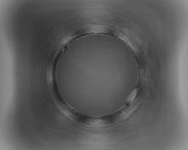 X0000111530203200907211251