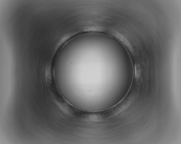 X0000111530204200907211251