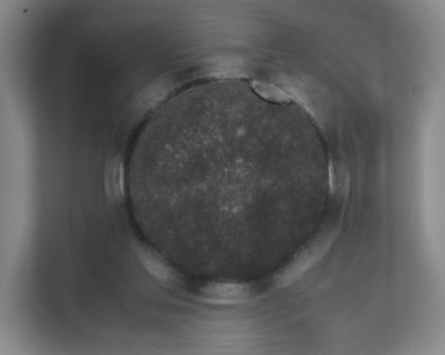 X0000111530205200907211251