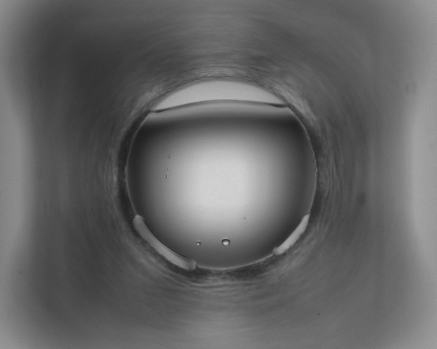 X0000111530207200907211251