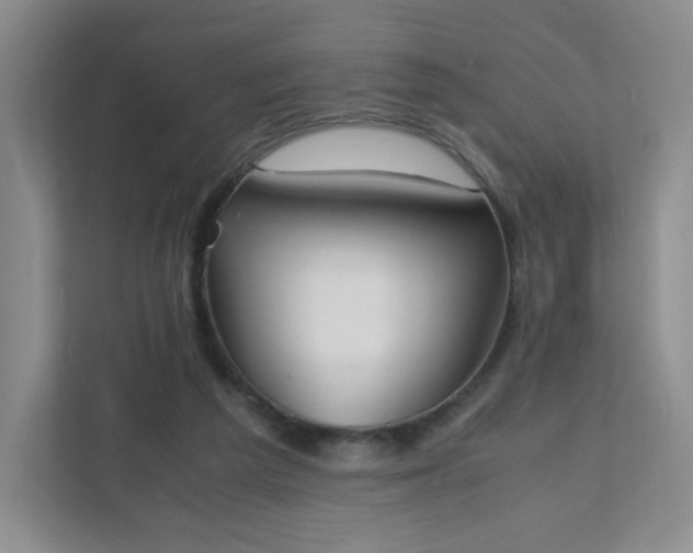 X0000111530209200907211251