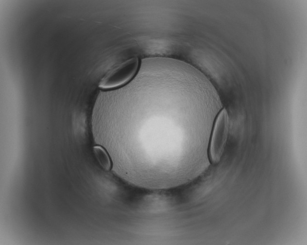 X0000111530211200907211251