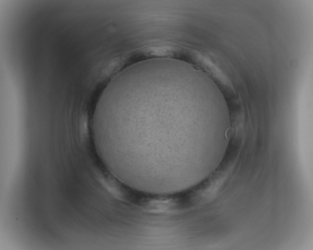 X0000111530213200907211251