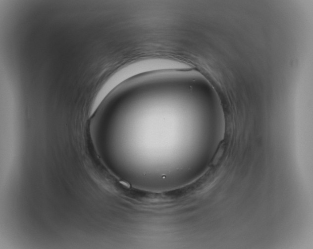 X0000111530215200907211251