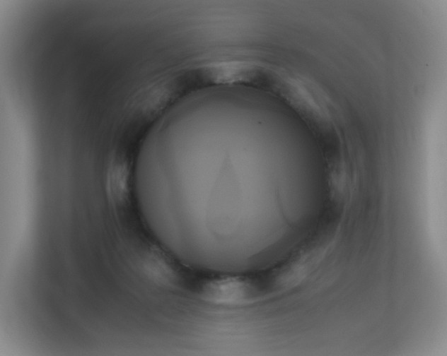 X0000111530219200907211251